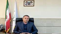 تداوم تولید قراردادی و خرید مرغ مازاد در فارس؛ گامی مهم در مسیر امنیت غذایی و پایداری تولید